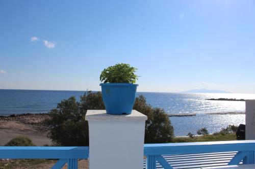 a plant in a blue pot on a white post at GeoMare Beach House in Monolithos