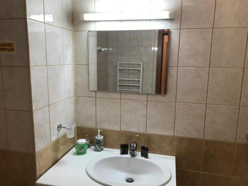 een badkamer met een wastafel en een spiegel bij Studio in Hotel Flora Borovets in Borovets