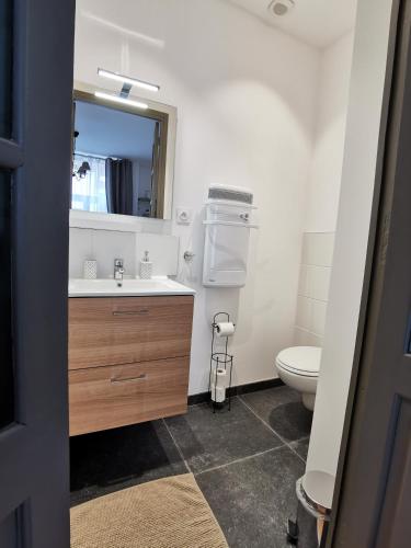 une salle de bain avec un lavabo et des toilettes dans l'établissement Le cocon du centre ville, à Lens