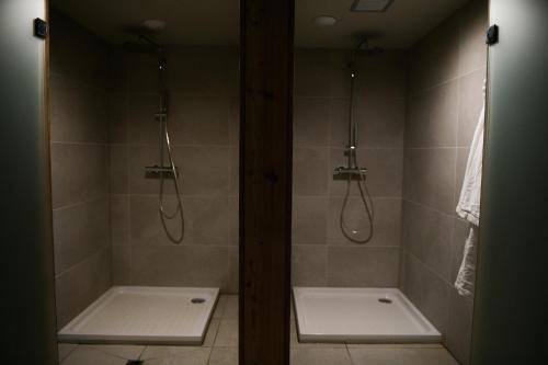 Appart'Hotel Aiguille Verte & Spa photo 79