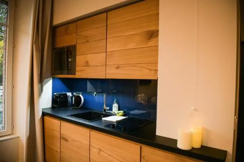 Appart'Hotel Aiguille Verte & Spa photo 19