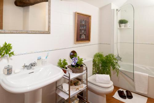 a bathroom with a sink and a toilet and a shower at A Casa da Torre Branca in Santiago de Compostela