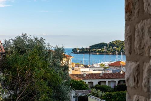 聖讓卡弗爾拉的住宿－Villa Primavera Splendid villa with sea view in Saint-Jean Cap Ferrat，享有海港和水中船只的景色