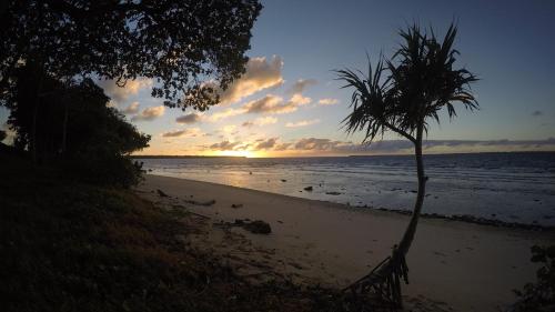 a palm tree on a beach with a sunset at Aore Breeze in Luganville