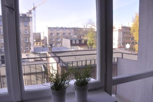an open window with two potted plants on a window sill at Apartament KoKi Retro in Gdynia