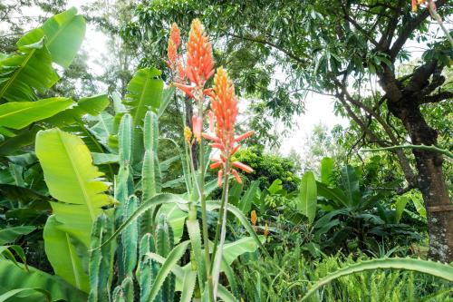 Galerija fotografija objekta Kiboko Lodge u gradu 'Usa River'