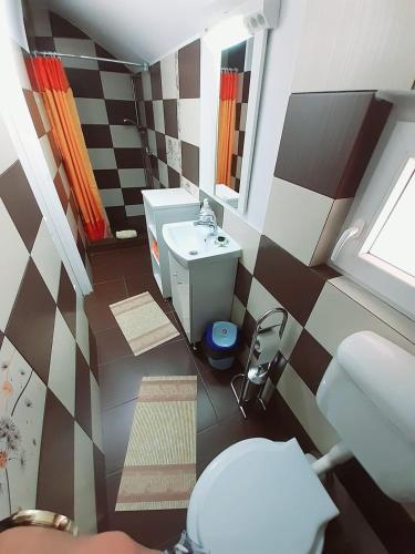a small bathroom with a toilet and a sink at Vila Nico in Haţeg