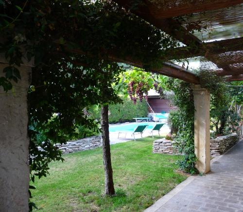a garden with a tree and a swimming pool at Casa Stefy in Montagnana