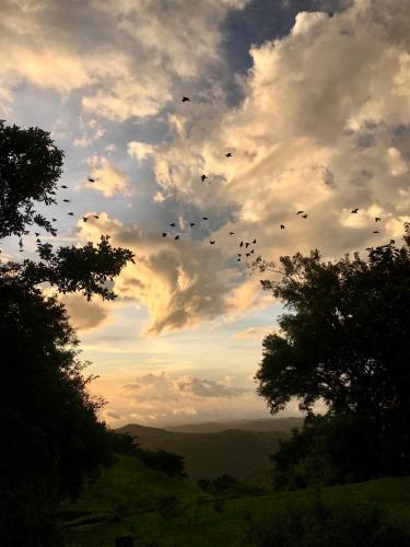 a flock of birds flying in the sky at El Sol Monteverde in Monteverde Costa Rica