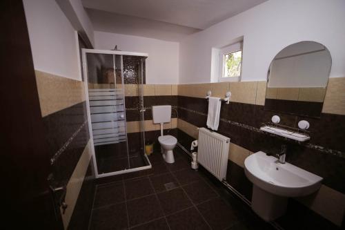 ソバタにあるCasa Micul Arinのバスルーム(洗面台、トイレ、鏡付)