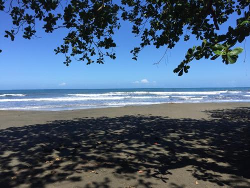 a beach with trees and a body of water at Playa Negra Guesthouse in Cahuita