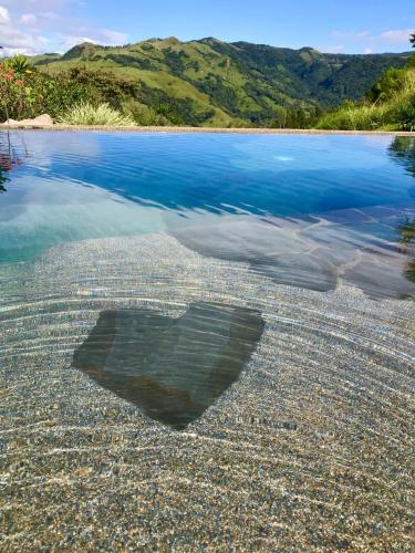 a rock in the water on a beach at El Sol Monteverde in Monteverde Costa Rica