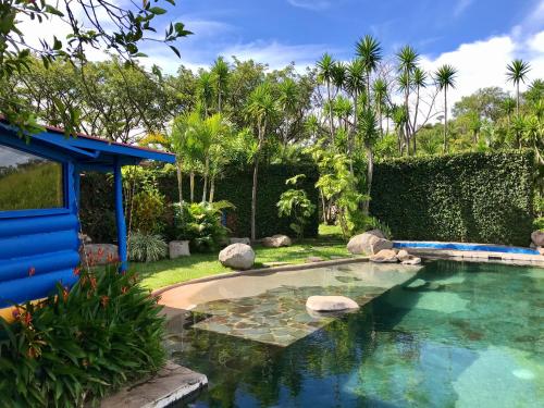 Swimmingpoolen hos eller tæt på El Sol Monteverde