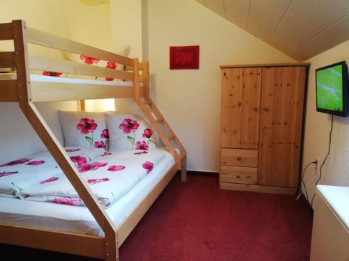 a bedroom with a bunk bed and a television at Urlaub mit Hund - Ferienhof Höhensonne in Rathmannsdorf