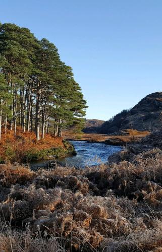 Cruachan Guest House – Photos 3