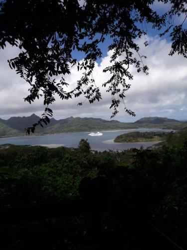 a view of a lake with mountains in the distance at Chez Here - Ata in Faie