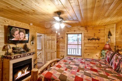 een slaapkamer in een blokhut met een open haard en een televisie bij Call Of The Wild in Sevierville