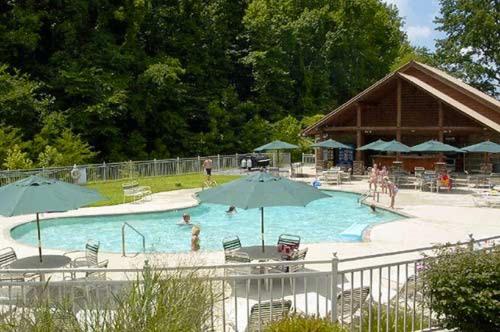 a swimming pool with chairs and umbrellas and a giraffe at God's Grace in Pigeon Forge