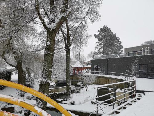 a snow covered park with a tree and a building at cité impériale ye in Mettet