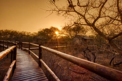 a wooden bridge over a body of water with a tree at Vuyani River Lodge in Hoedspruit