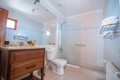 a bathroom with a toilet and a shower and a sink at Viña La Playa Hotel & Winery in Santa Cruz