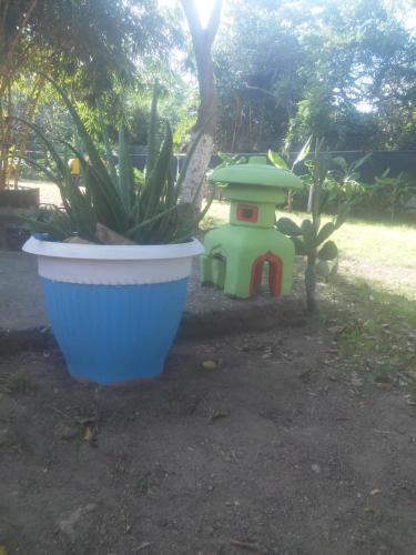 a bird house and a plant in a yard at Hostal Villas Mexico in San Juan del Sur