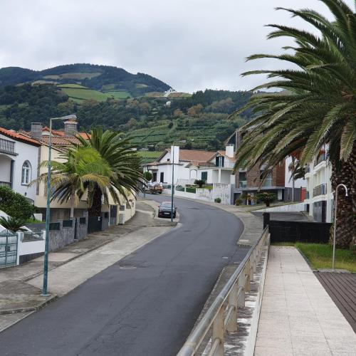 a street with palm trees and a car on the road at Black'nYellow Place in Vila Franca do Campo