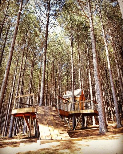 Paisaje cerca de este tented camp