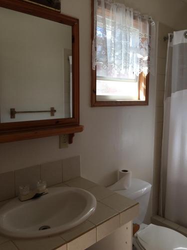 een badkamer met een wastafel, een spiegel en een toilet bij Blue Wave Guest House in Caye Caulker
