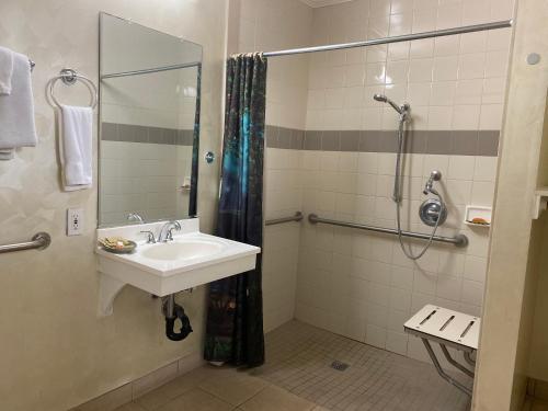 Bagno di Villa Park Motel