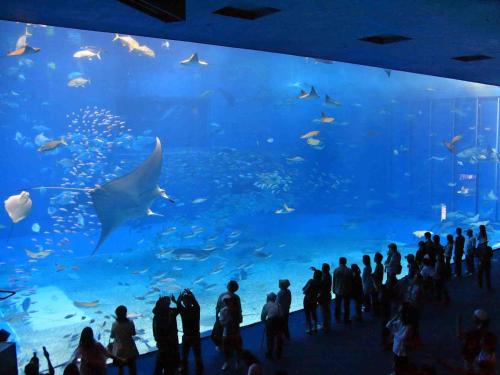 a group of people standing in front of a large aquarium at Yomitan Condhotel ND in Yomitan
