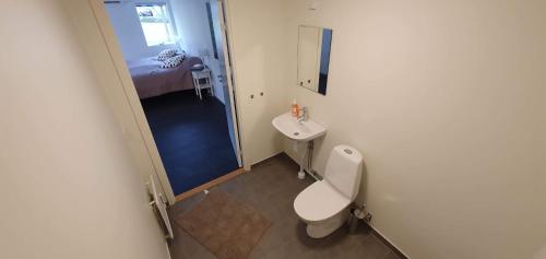 ein kleines Bad mit WC und Waschbecken in der Unterkunft Söderåsens Golf Lodge in Risekatslösa