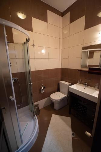 a bathroom with a toilet and a sink and a shower at Pension Arena in Cluj-Napoca