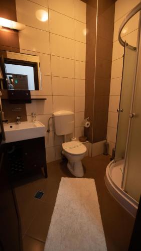 a bathroom with a toilet and a sink and a tub at Pension Arena in Cluj-Napoca