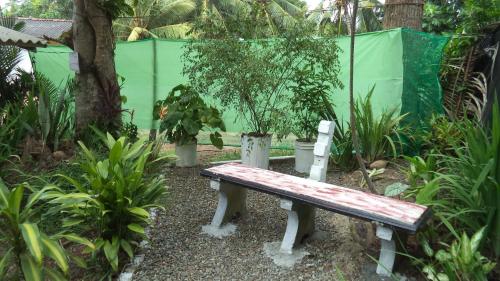 Hikka Bird Hostel – Photos 3