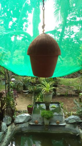 Hikka Bird Hostel – Photos 4