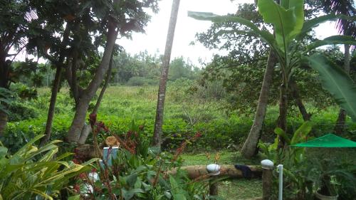 Hikka Bird Hostel – Photos 5