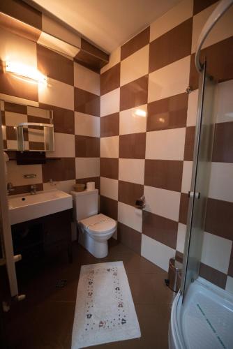 a bathroom with a toilet and a sink at Pension Arena in Cluj-Napoca