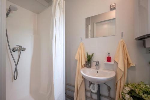 a bathroom with a sink and a shower at Container House in Gerlos