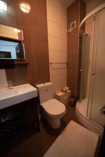 a bathroom with a toilet and a sink and a shower at Pension Arena in Cluj-Napoca