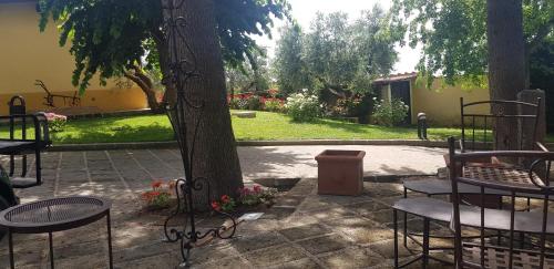 a patio with tables and chairs next to a tree at Aquilamaior in Tragliata