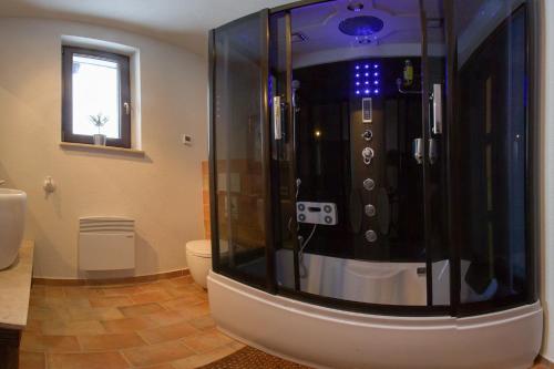 a bathroom with a shower with a toilet and a window at Apartament Villa Toscana in Jaworki