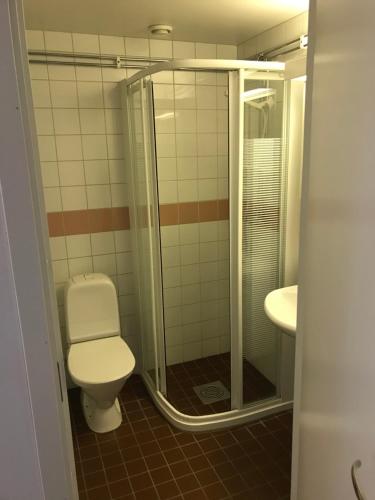 een badkamer met een toilet, een douche en een wastafel bij Nattvikens Vandrarhem in Härnösand