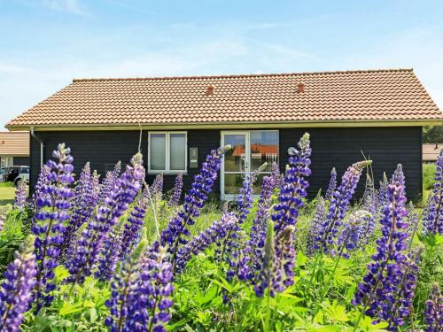 a garden with purple flowers in front of a house at 6 person holiday home in Ulfborg in Fjand Gårde