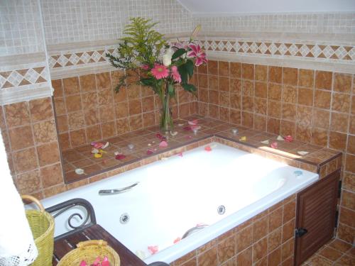 uma banheira com um vaso com flores em Casa Encarnacion em Santo Emiliano