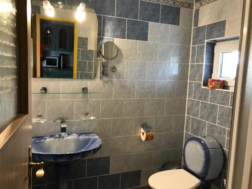 a bathroom with a sink and a toilet at Penzion Trampska Bouda in Abertamy