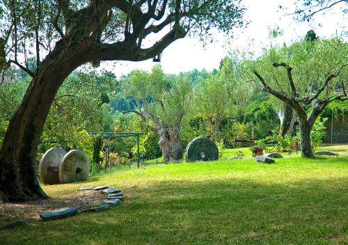 a park with a tree and rocks in the grass at Pie' d'Ulivo in Bosco
