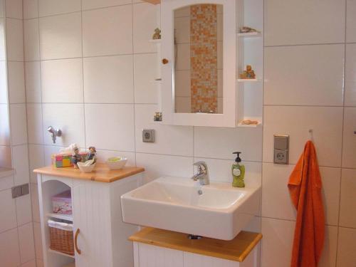 a bathroom with a sink and a mirror at Ferienwohnungen "allerleigrün" in Langenroda