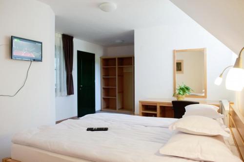 a bedroom with a bed with a tv on the wall at Lobogo Resort in Vlăhiţa