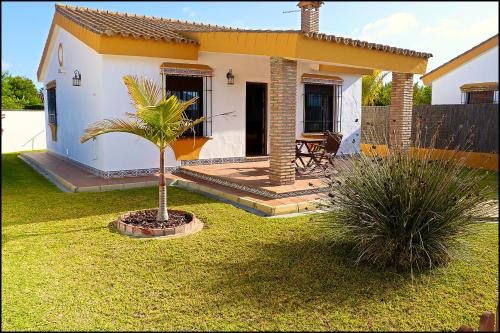 mały domek z palmą w ogrodzie w obiekcie Chalet con piscina privada w mieście Conil de la Frontera